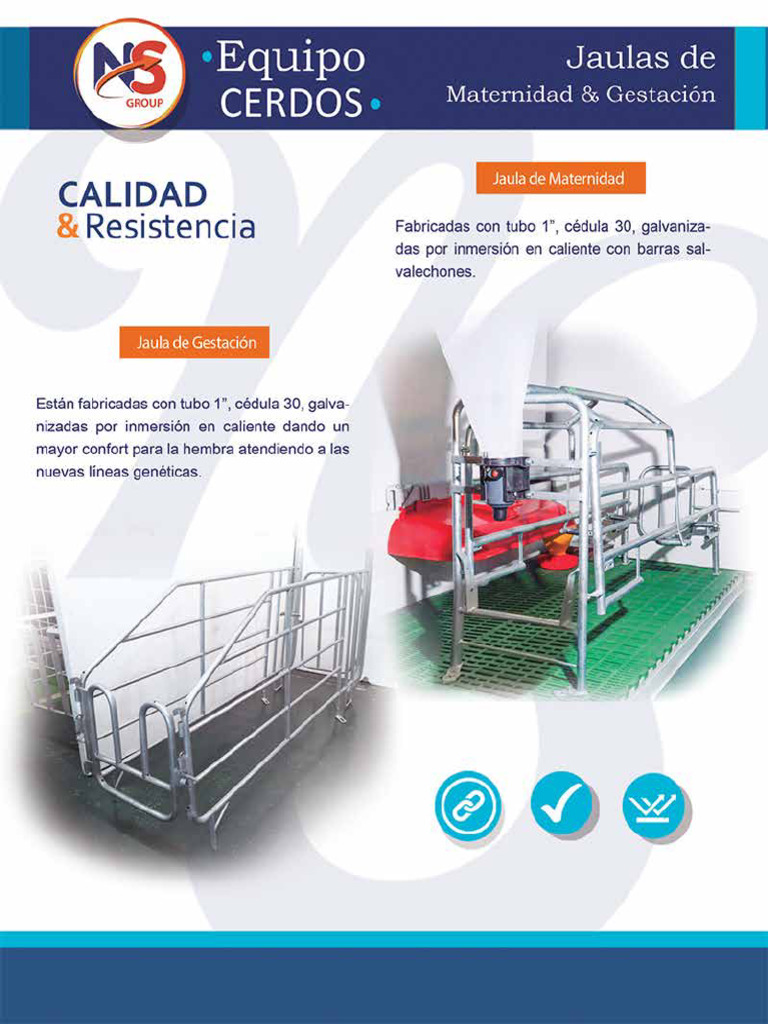 Catalogo Cerdos NS GROUP | PDF