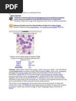 Download Leukemia Limphoblastik Akut by Ama Rahmah Ramadhani Bara SN78480011 doc pdf