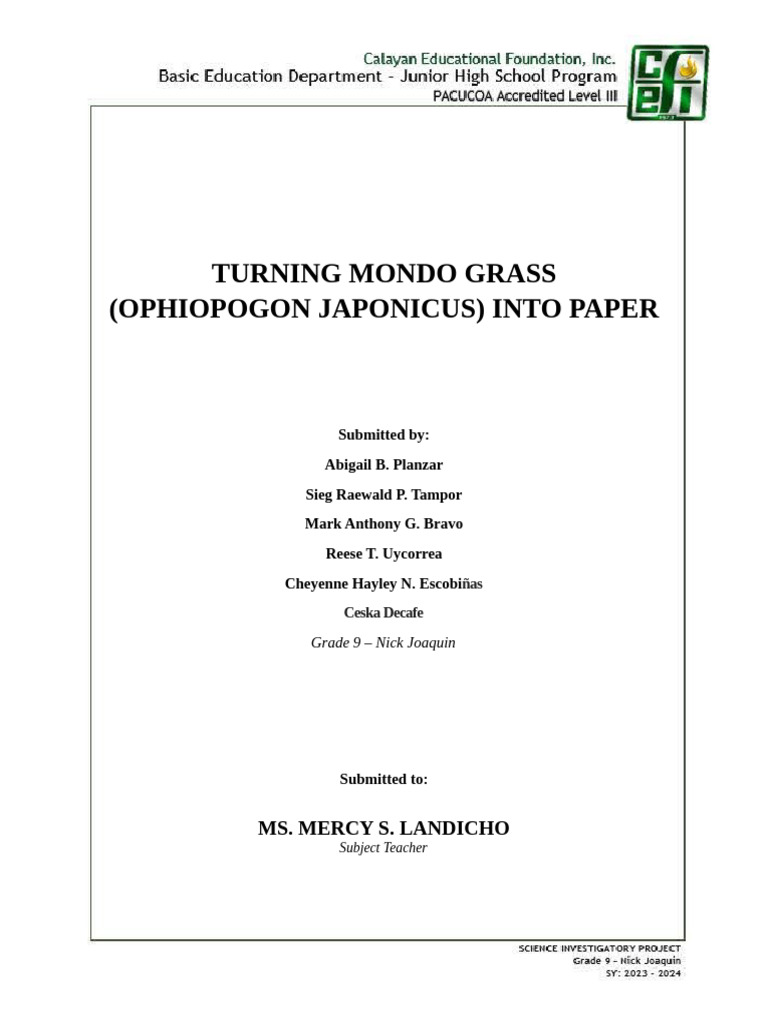 Mondo Grass Paper: An Eco-Friendly Alternative | PDF | Paper | Pulp (Paper)