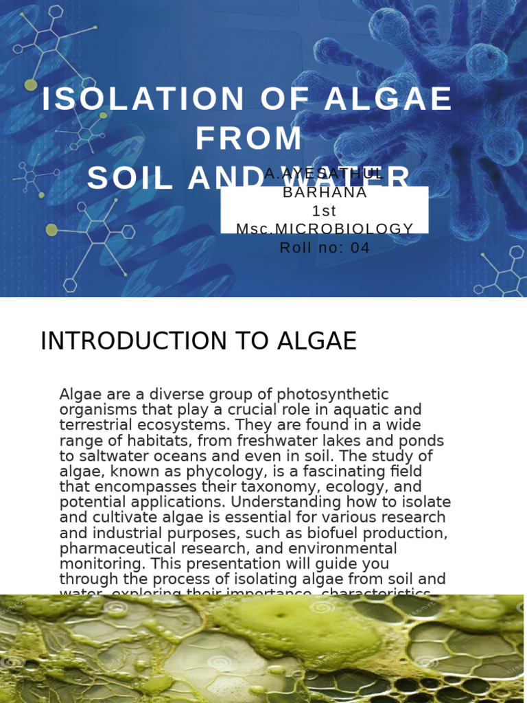 Algae Isolation Techniques from Soil and Water | PDF | Algae | Aquatic ...