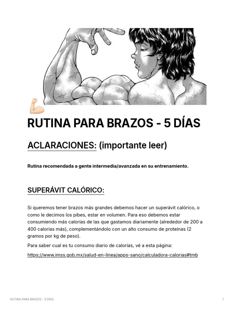 Rutina Para Brazos 5 Días Pdf Entrenamiento Con Pesas Ejercicio