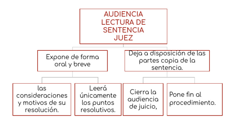 Audiencia de Lectura de Sentencia | PDF