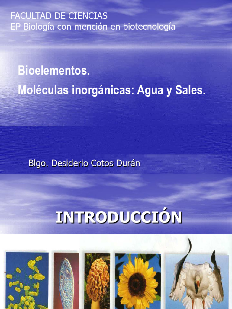 Clase 2 Bio BIO 2024 II Unjfsc | PDF