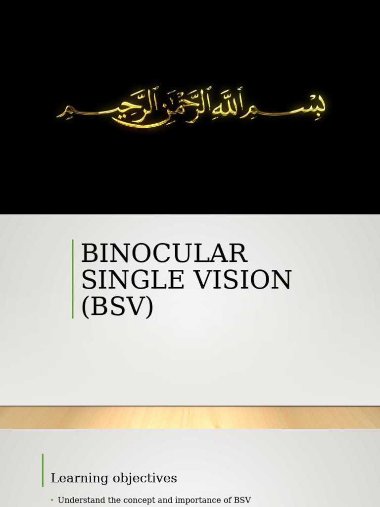 BSV | PDF | Visual Perception | Eye