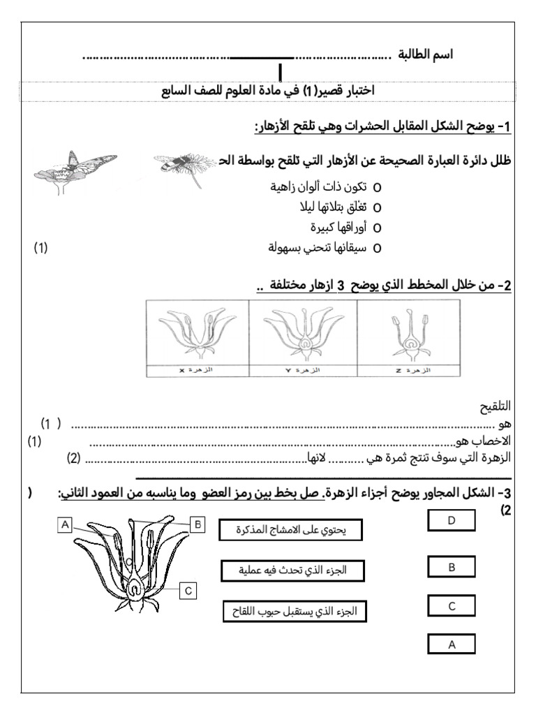 اختبار قصير 1 2023 Pdf 