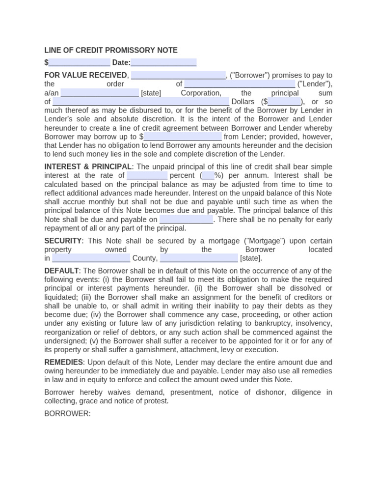 Line of Credit Promissory Note Template | PDF | Debtor | Bankruptcy