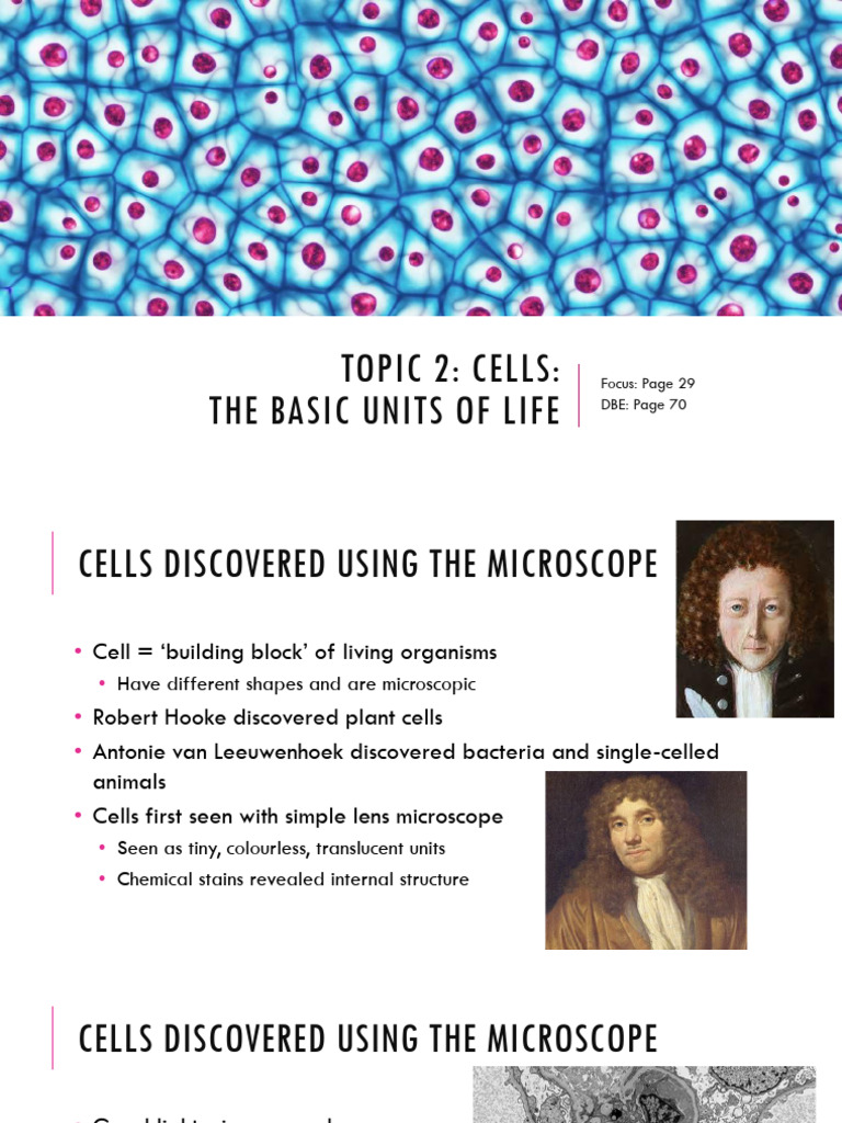 Gr10 T2 - Topic 2 Cells - The Basic Units of Life - 241024 - 213204 ...