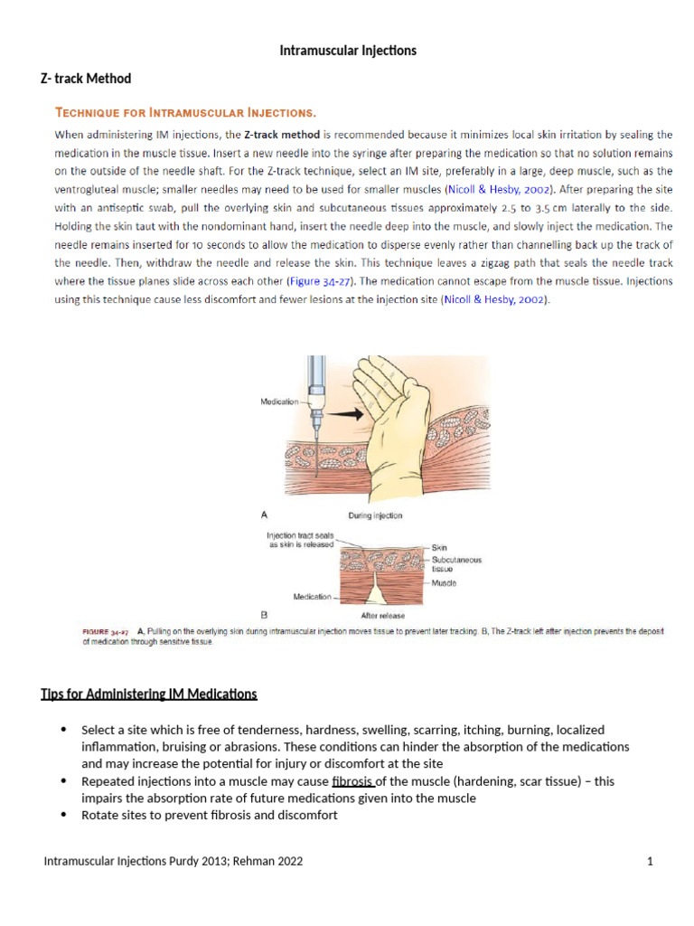 Intramuscular Injection Techniques Guide | PDF | Musculoskeletal System ...