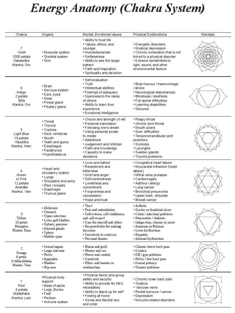 Chakra Info Low Back Pain Self Esteem