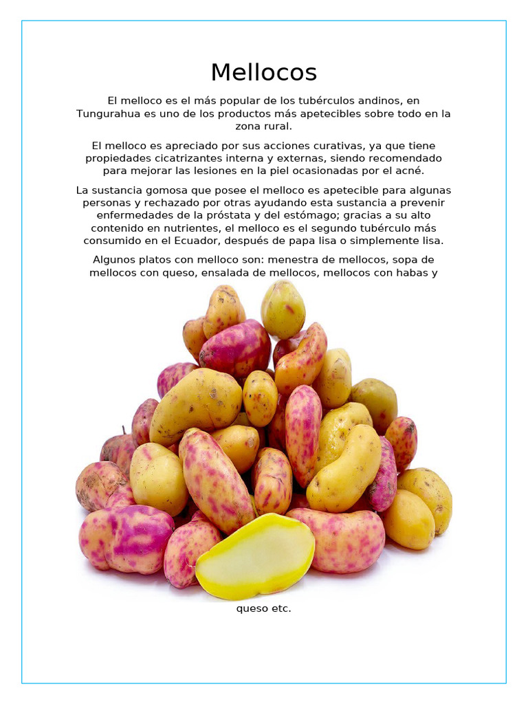 Mellocos | PDF | Salud y bienestar