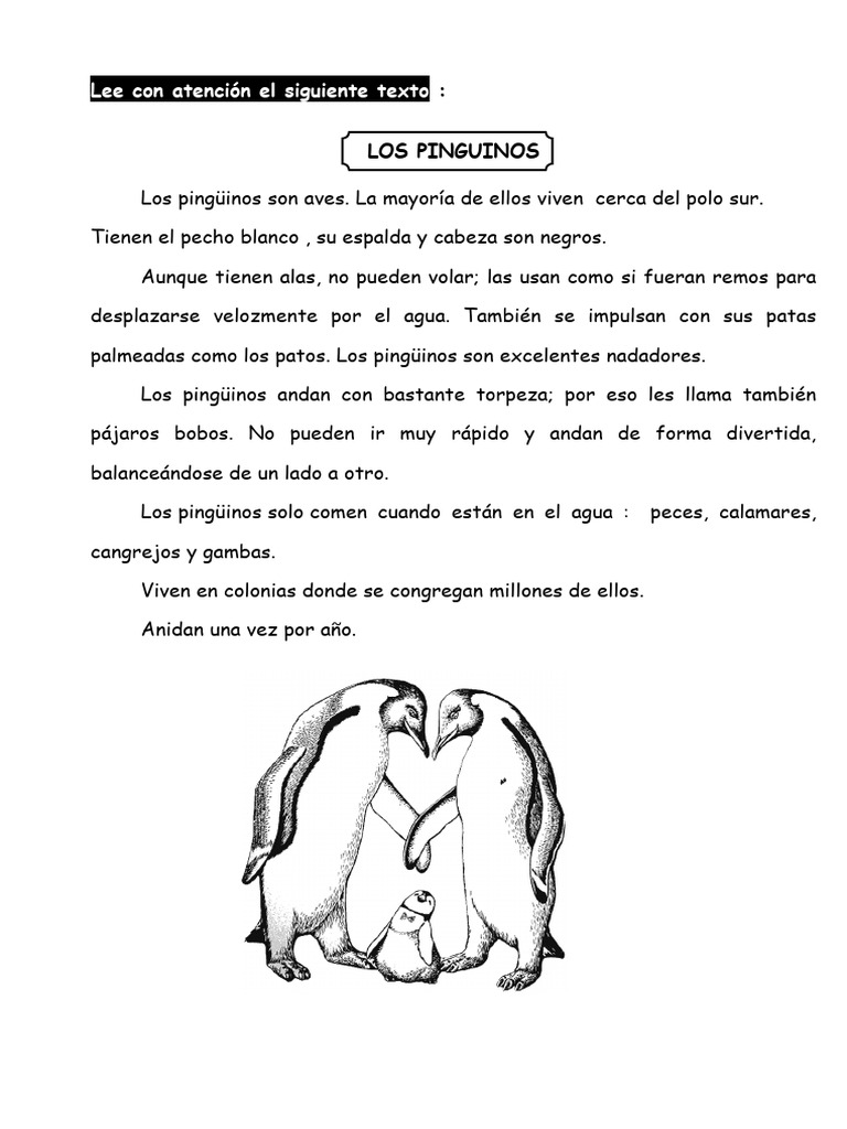 Ep 2n Orientacions 12 4 Comprensi N Lectora Nivel 3 Pdf Ping Ino Aves