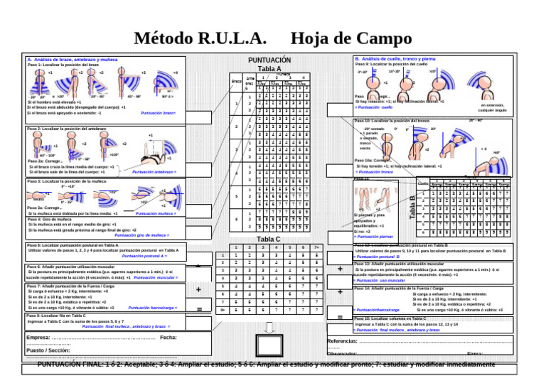 Método RULA: Hoja de Campo y Análisis | PDF | Sistema musculoesquelético