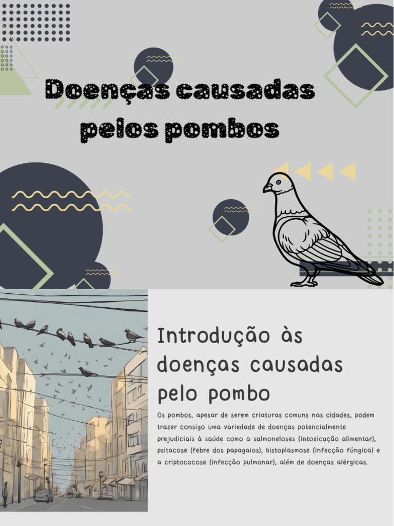 Doenças Causadas por Pombos Urbanos | PDF