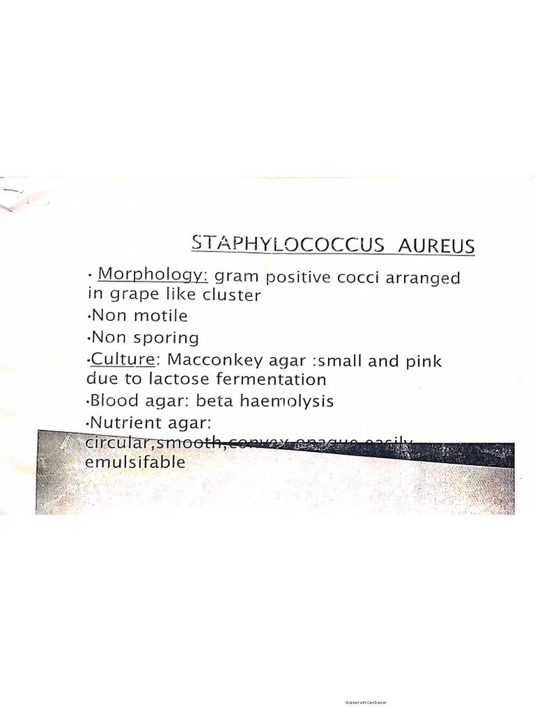 All Medical Notes | PDF