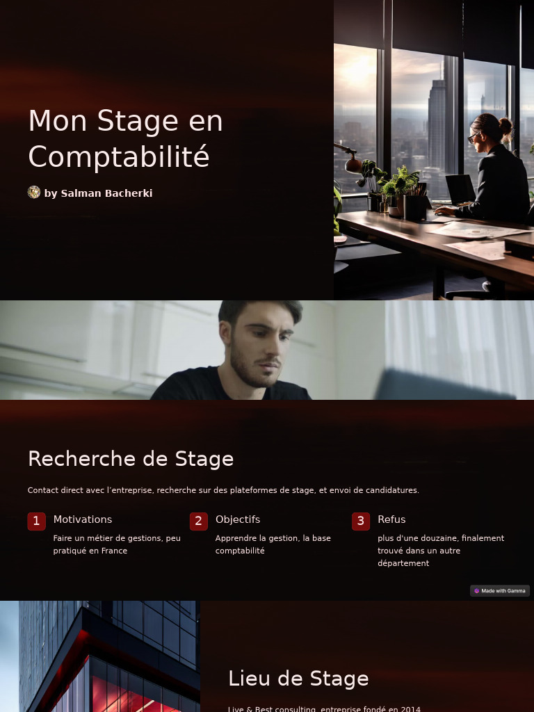 Mon Stage en Comptabilité : Bilan et Apprentissage | PDF