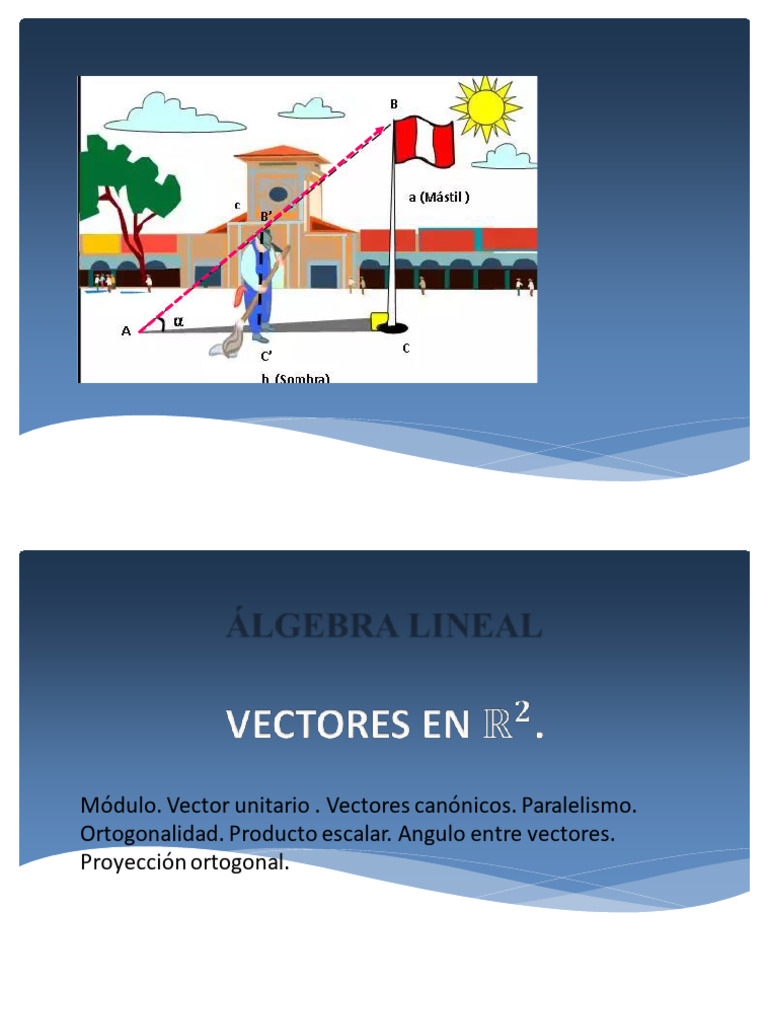 Vectores en R2 - II | PDF | Vector Euclidiano | Ortogonalidad