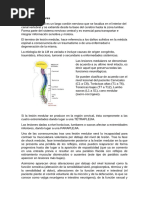 Escala ASIA para Lesiones Medulares | PDF | Médula espinal | Anatomía ...