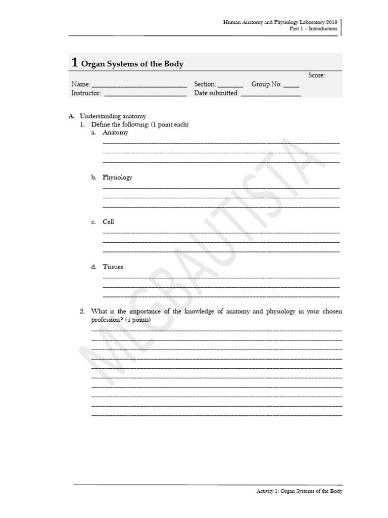 Activity 1 Organ Systems of The Body Modified | PDF | Human Body ...