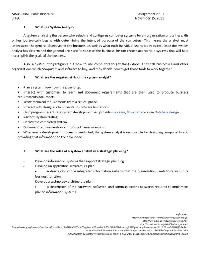 HW 1 System Analyst | PDF | Programmer | System