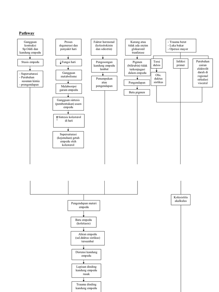 Patofisiologi dan Pathway Kolelitiasis | PDF
