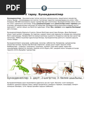 Порно видео: Анасы ұлын жақын досымен ұстады