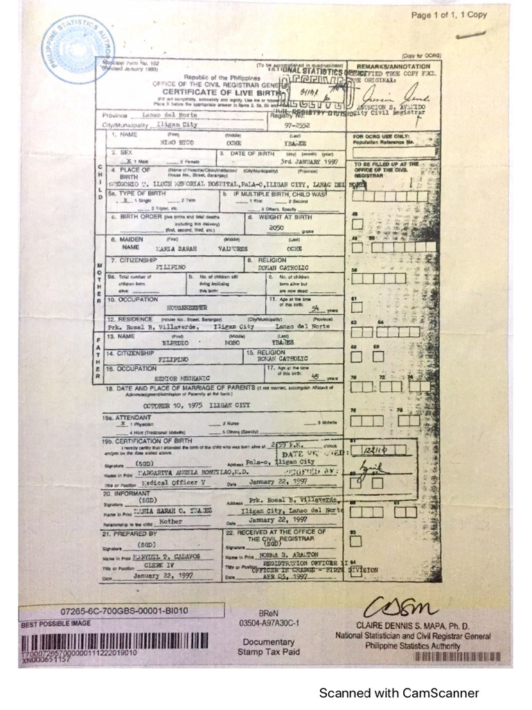 HOW TO MAKE BIRTH CERTIFICATE INTO PDF visual data 4