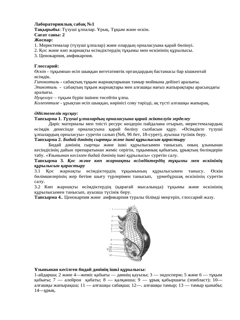 Порноны желіде қалай орналастыруға болады