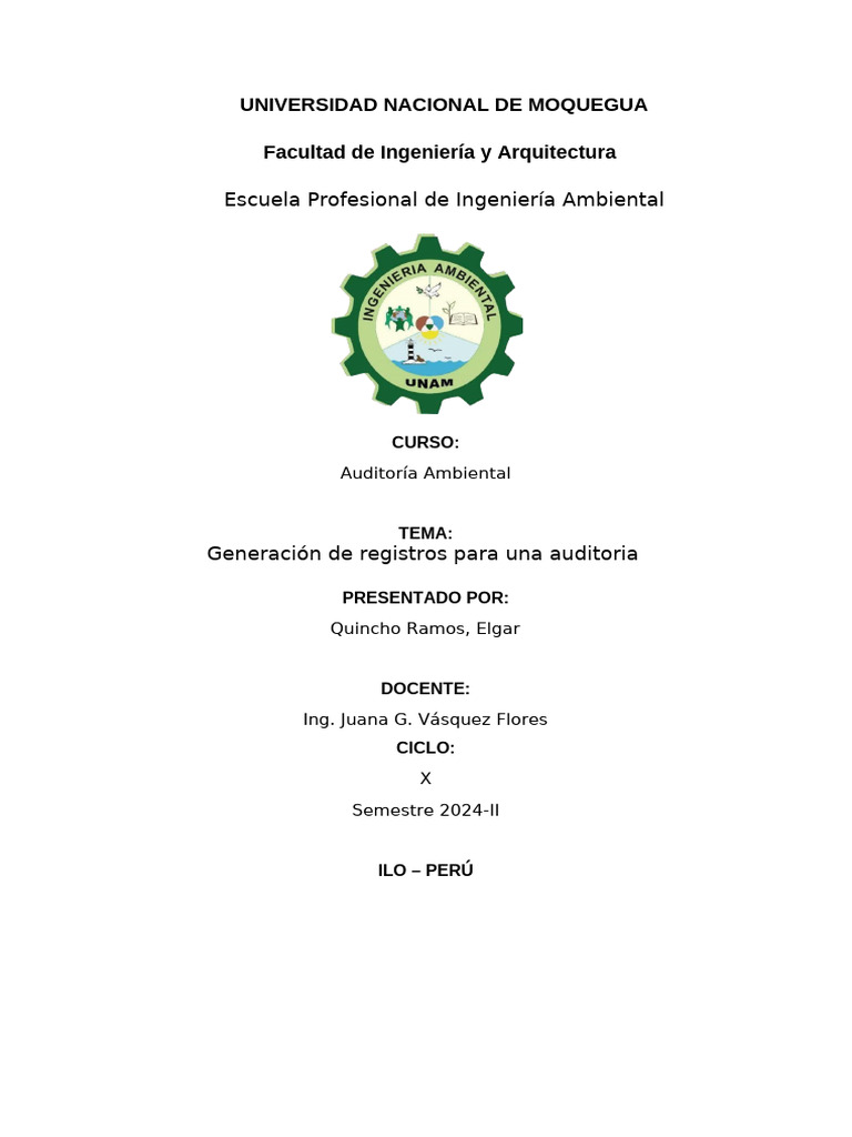 PROGRAMA Y PLAN DE AUDITORIAS | PDF | Auditoría | Planificación