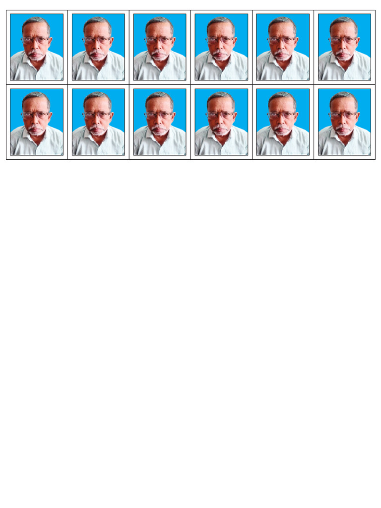 Passport Photo | PDF