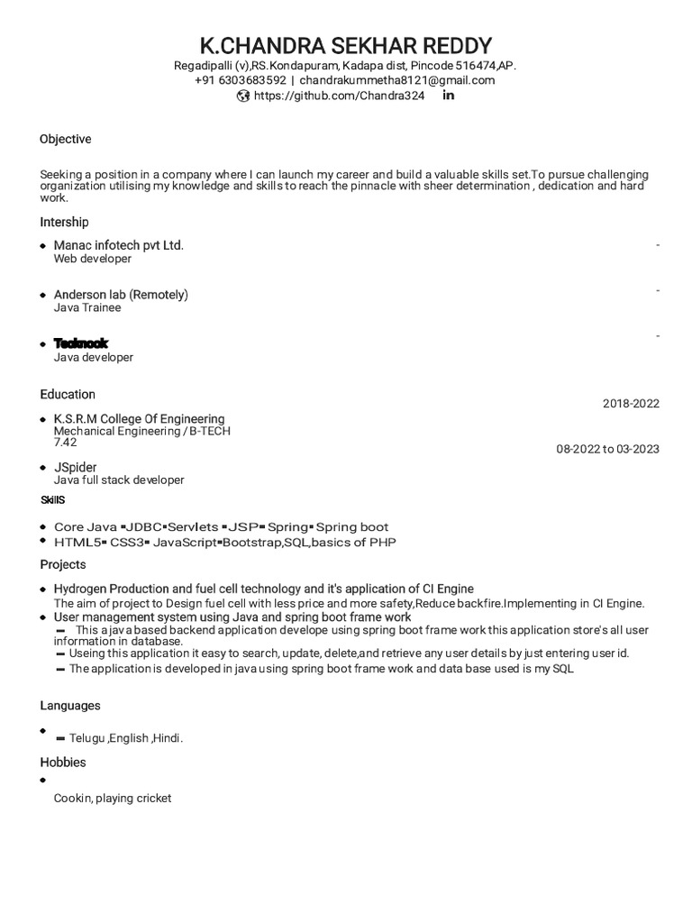 Web Developer Resume - Java & Engineering | PDF