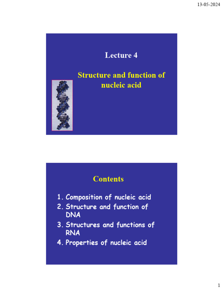 Nucleic Acid Structure and Function Overview | PDF | Nucleotides | Dna
