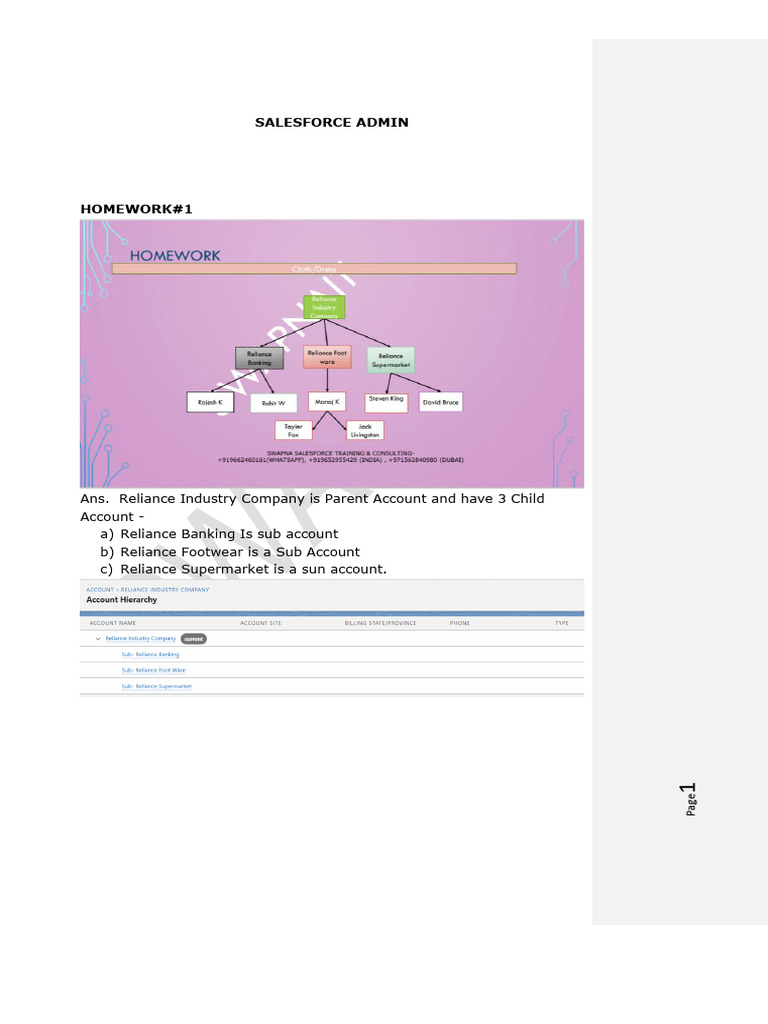 Salesforce Admin Homework Overview | PDF | Computing
