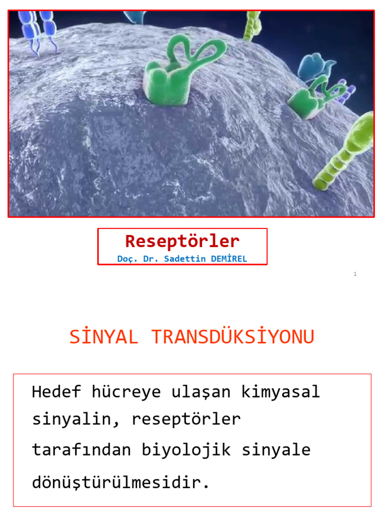 Reseptörler | PDF