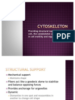 Cytoskeleton Presentation