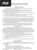 Download In ajun de anul nou - Fanus Neagu versiune completa by Emil Sirbu SN78514108 doc pdf