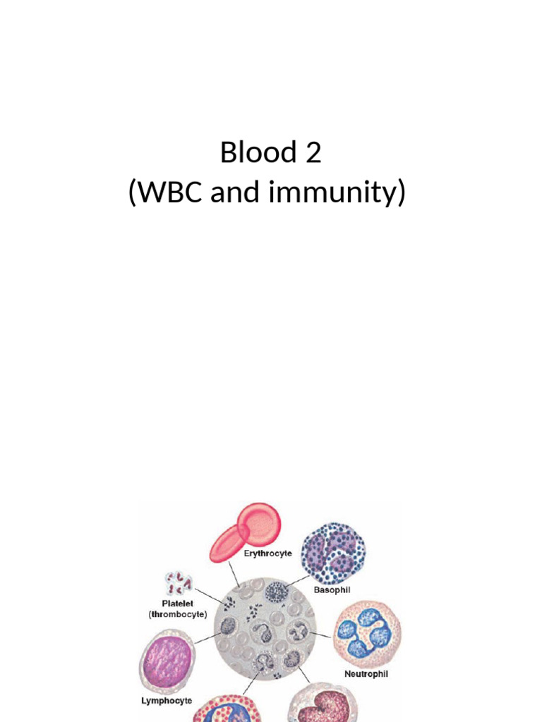 Blood 2 (WBC and Immunity) | PDF | Immune System | White Blood Cell