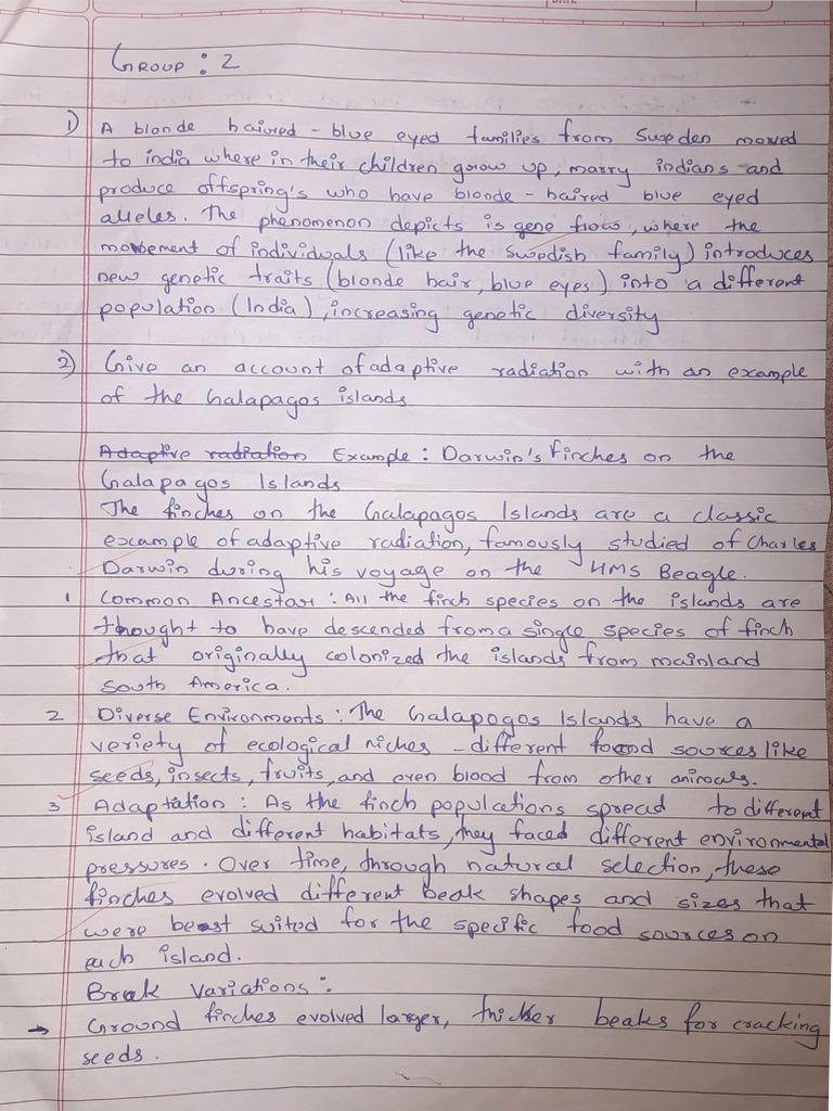 Group 2 | PDF