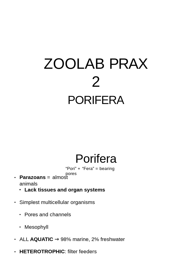 Zoo Lab Prax 2 Porifera | PDF | Sponge | Anatomy