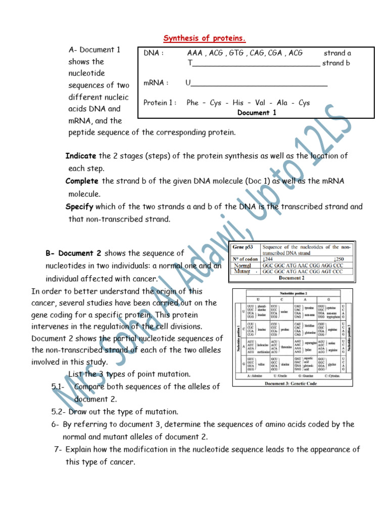 Protein Synthesis and Cancer Mutations | PDF | Nucleic Acid Sequence ...