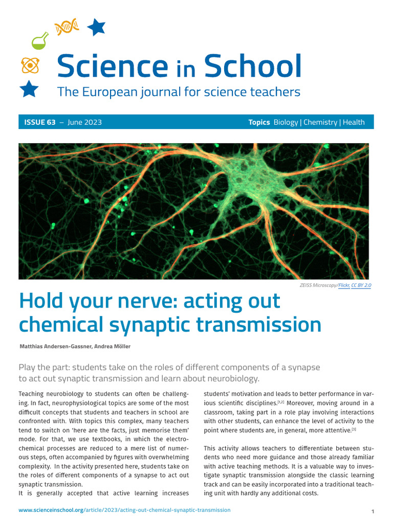 Role Play for Synaptic Transmission | PDF | Chemical Synapse | Synapse