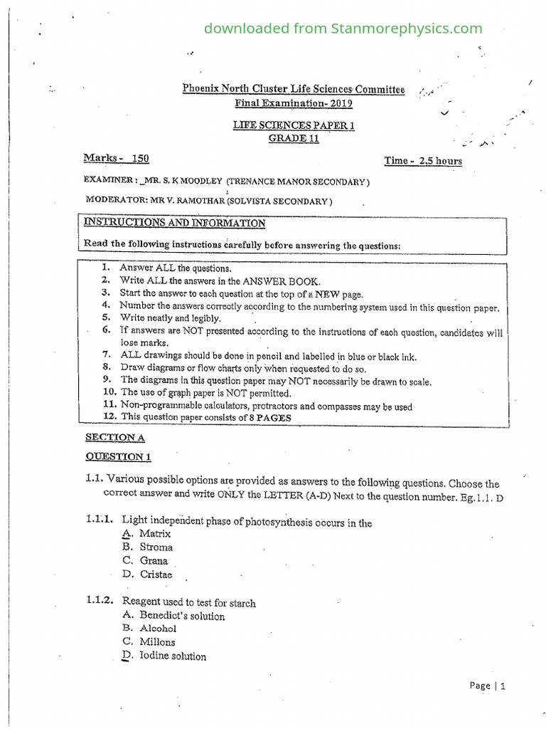 Nov 2019 P1 Grade 11 Pdf