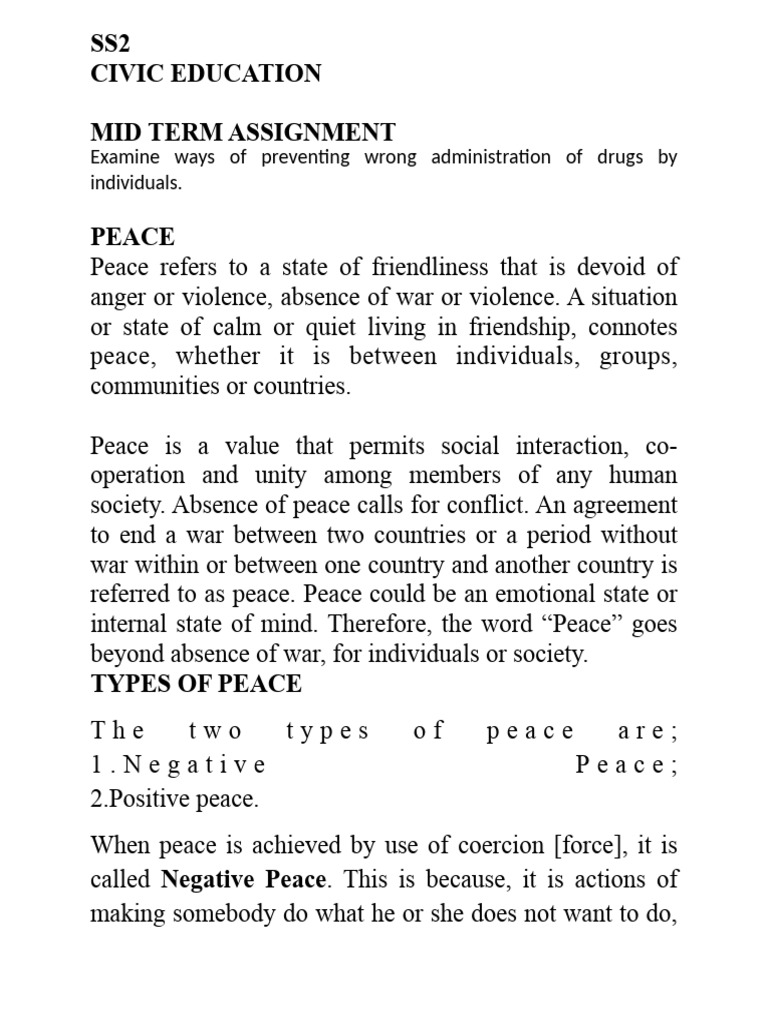 Promoting Peace in Society | PDF | Peace | Nigeria