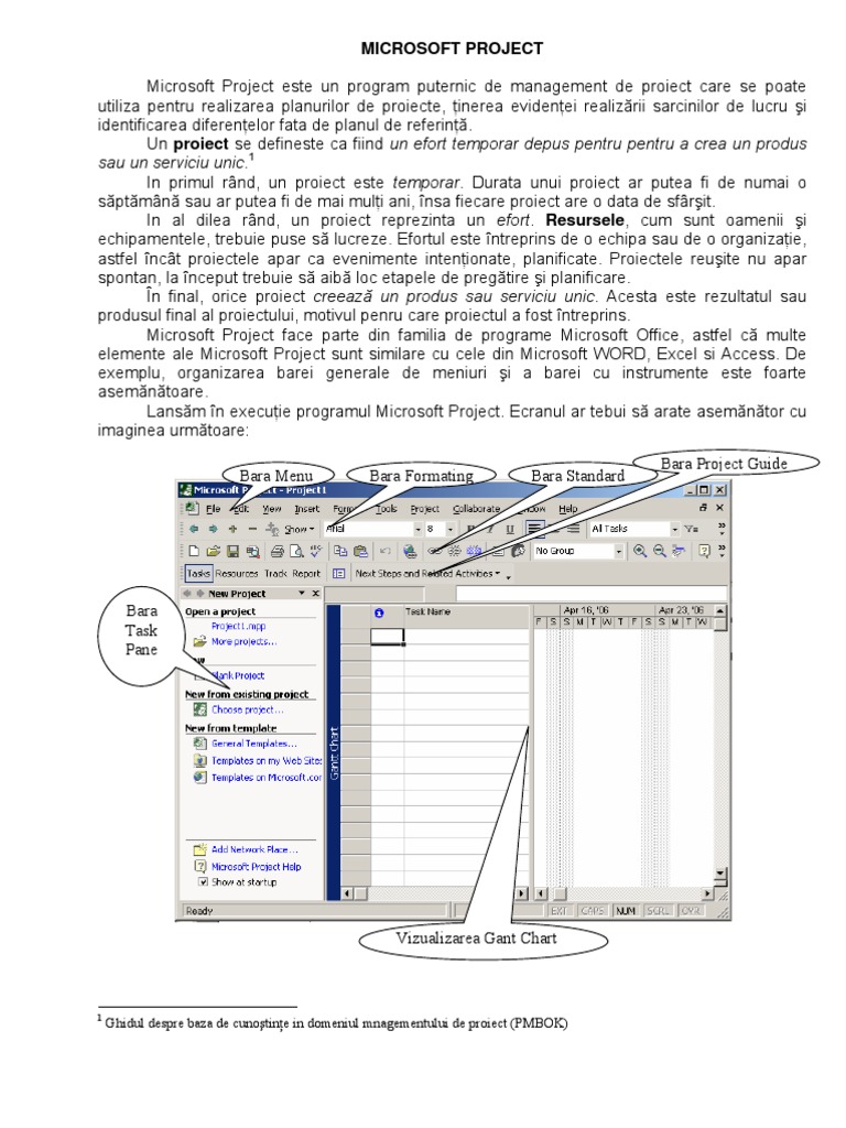 1 - Ghid Ms Project | PDF