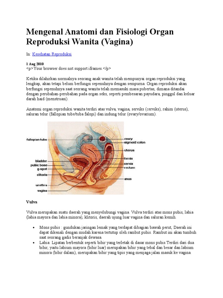 Jinsiy aloqa videolar bilan geylar