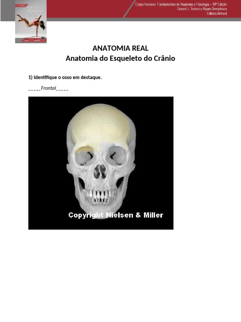 05 Anatomia Do Esqueleto Do Crânio Pdf