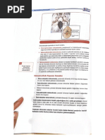 Spheno Occipital | PDF