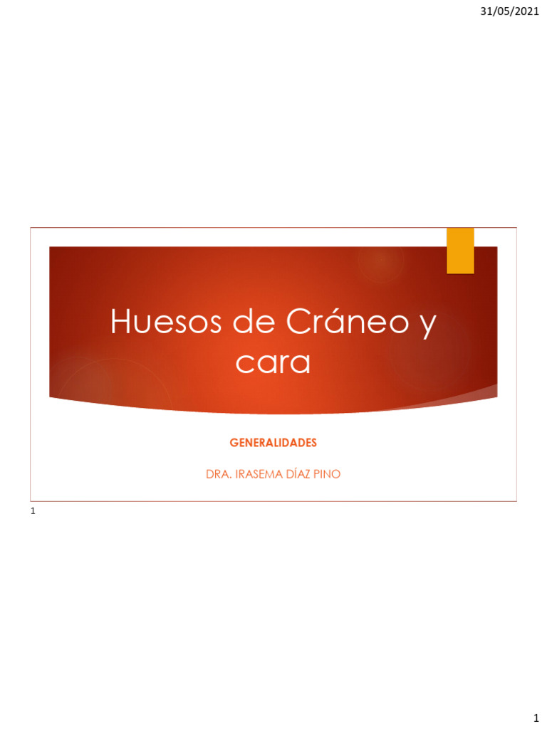 5 huesos de cr neo y cara pdf cr neo sistema esquel tico