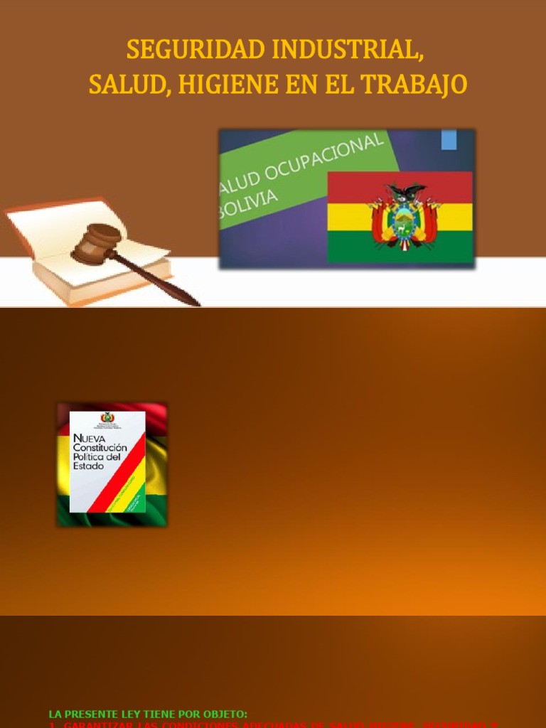 Seguridad y Salud en el Trabajo: Normas y Derechos | PDF