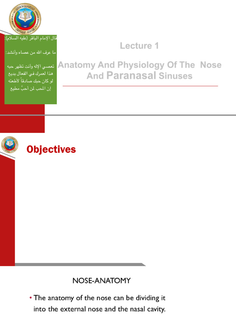 Nasal Anatomy & Nasal Trauma 2 | PDF | Human Nose | Diseases And Disorders