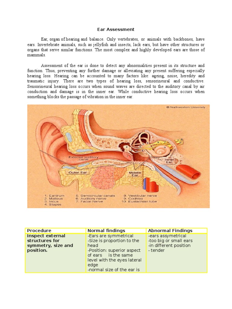 Ear Assessment Ear Hearing